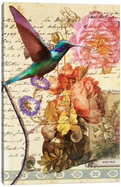 Hummingbird With Flowers Canvas Art Print - Hummingbird Art