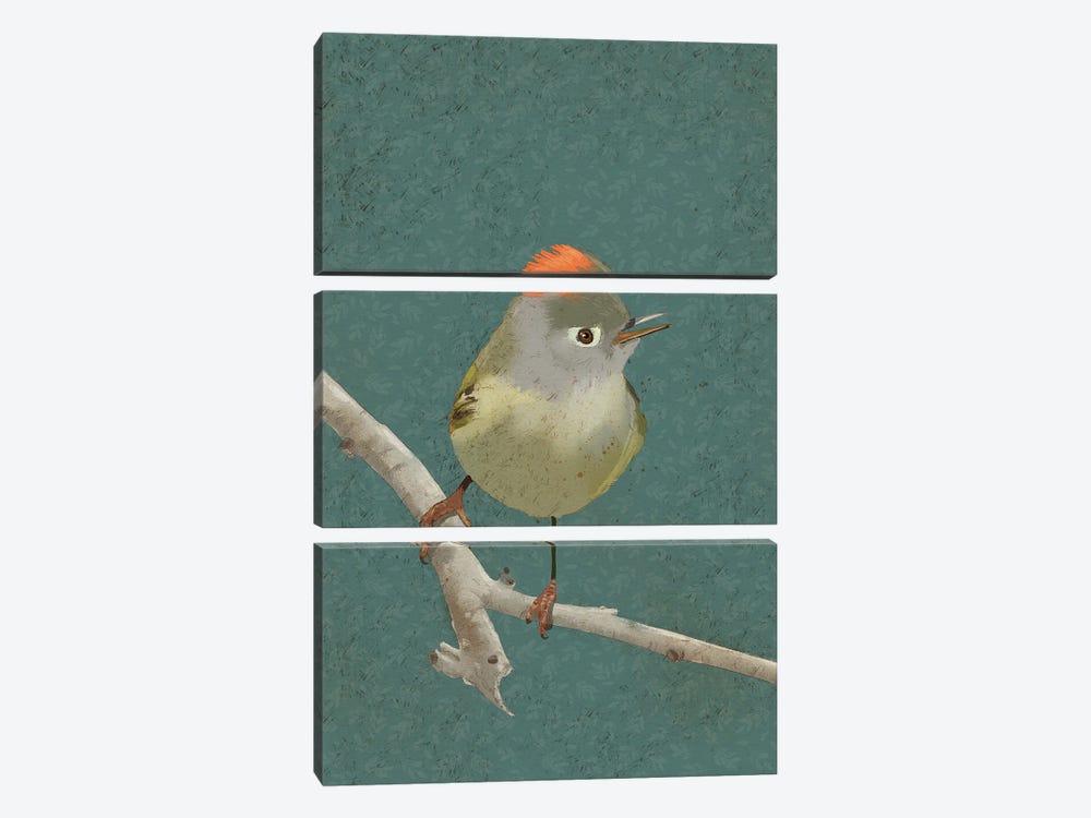 Ruby Crowned Kinglet by Roberta Murray 3-piece Canvas Artwork