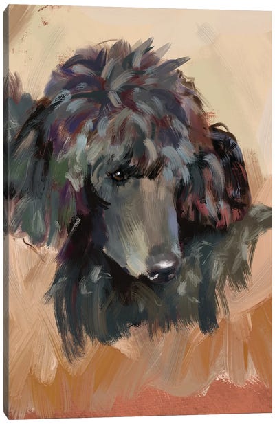 Beatrix Poodle Canvas Art Print - Poodle Art