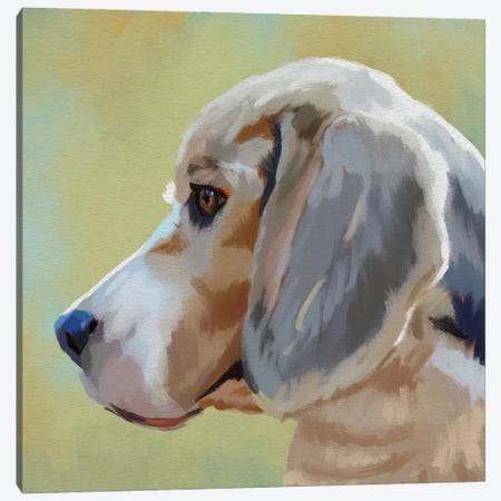 The Beagle Canvas Print #RMU250} by Roberta Murray Canvas Artwork