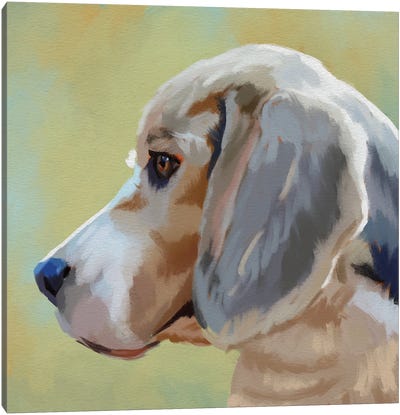 The Beagle Canvas Art Print