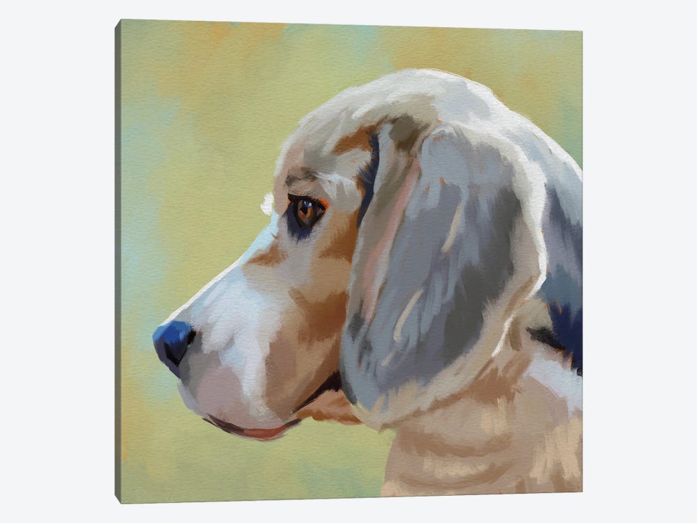 The Beagle by Roberta Murray 1-piece Canvas Artwork