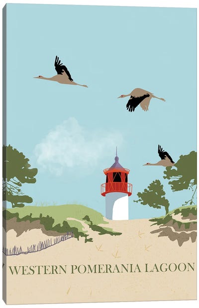 Western Pomerania Lagoon Cranes Canvas Art Print - Roberta Murray