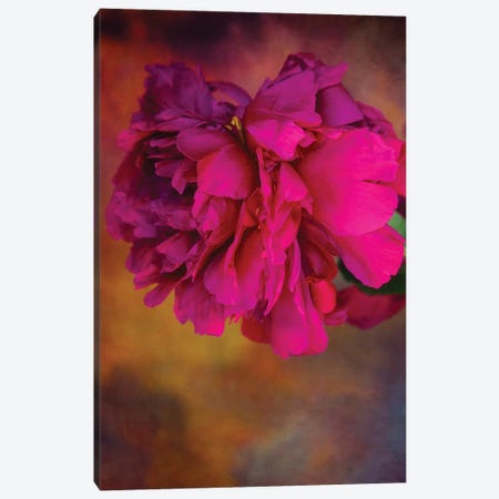 Bouquet Perfect Canvas Print #RMU276} by Roberta Murray Canvas Print