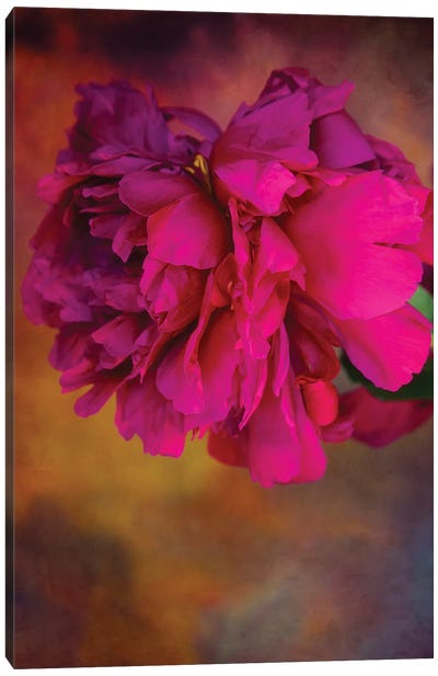 Bouquet Perfect Canvas Art Print - Roberta Murray