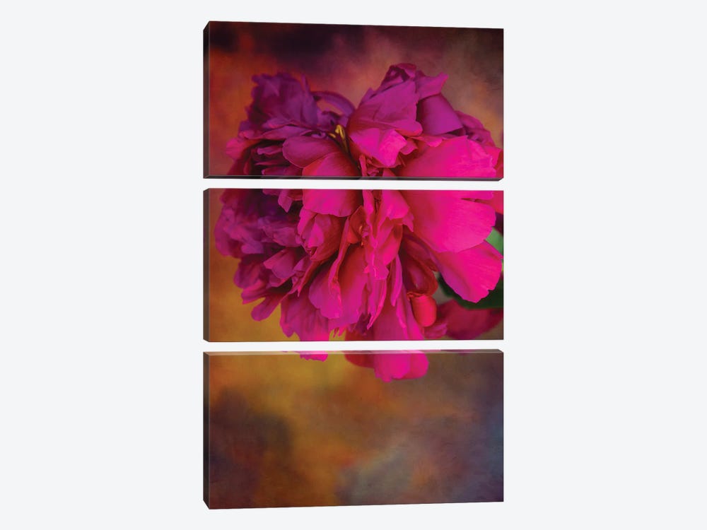Bouquet Perfect by Roberta Murray 3-piece Canvas Artwork