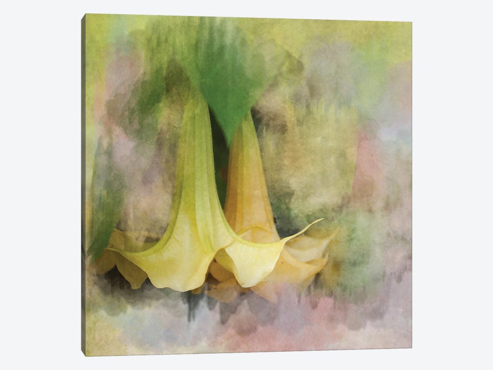 Angels Trumpets by Roberta Murray 1-piece Canvas Print