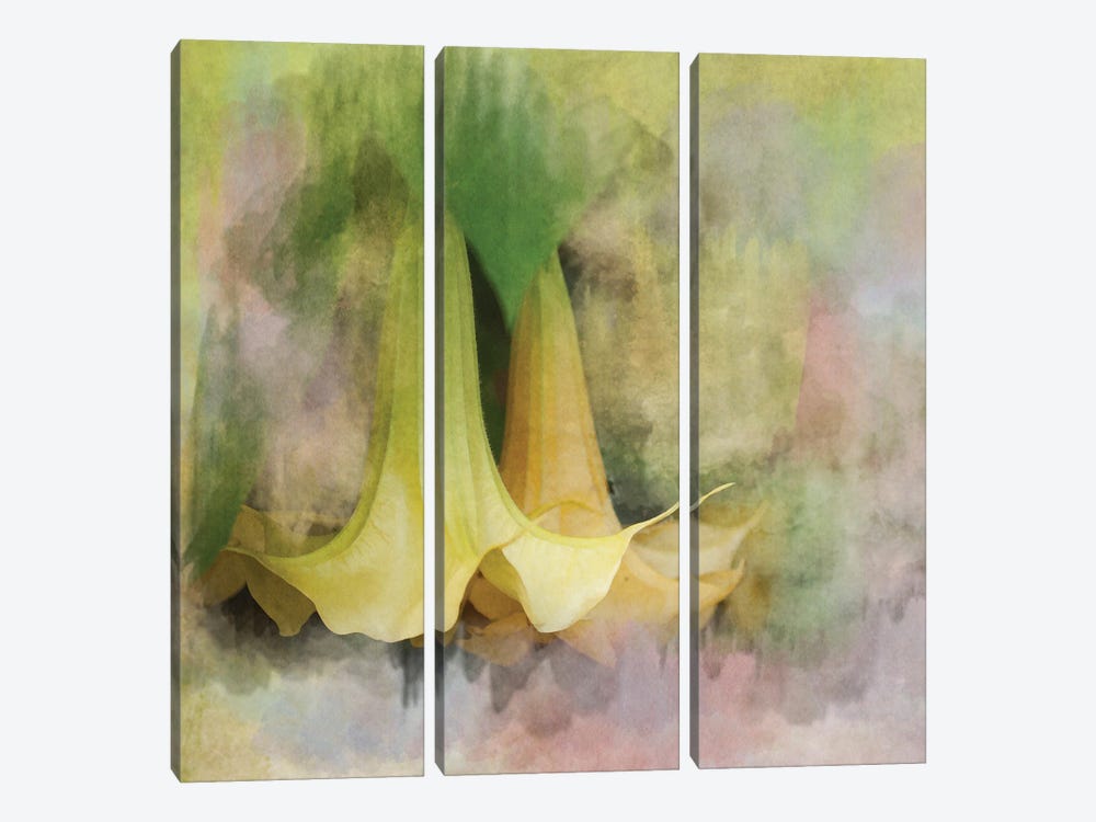 Angels Trumpets by Roberta Murray 3-piece Canvas Print