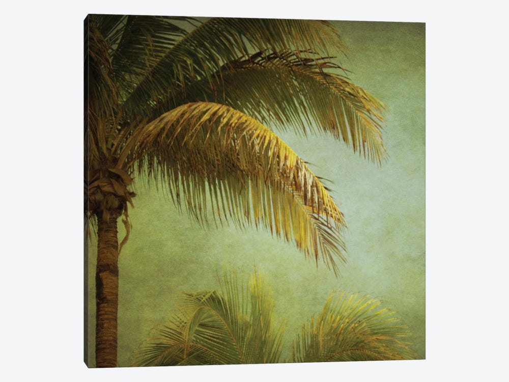 Coconut Palms by Roberta Murray 1-piece Canvas Wall Art