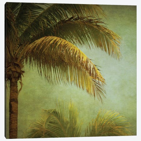 Coconut Palms Canvas Print #RMU278} by Roberta Murray Canvas Wall Art
