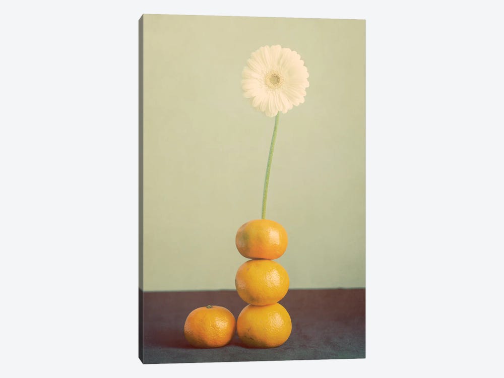 Orange Daisy by Roberta Murray 1-piece Canvas Art