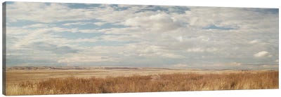 Prairie Panorama Canvas Art Print