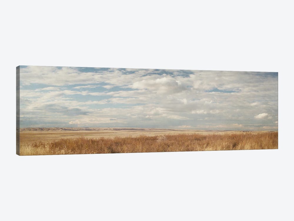 Prairie Panorama by Roberta Murray 1-piece Canvas Artwork