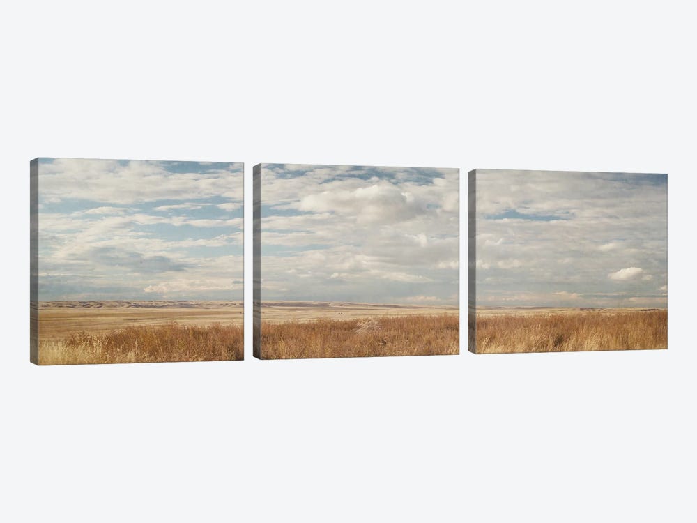 Prairie Panorama by Roberta Murray 3-piece Canvas Wall Art