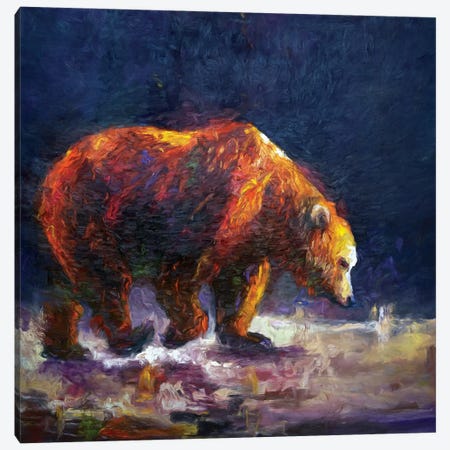 Bauerman Bear Canvas Print #RMU28} by Roberta Murray Canvas Art Print