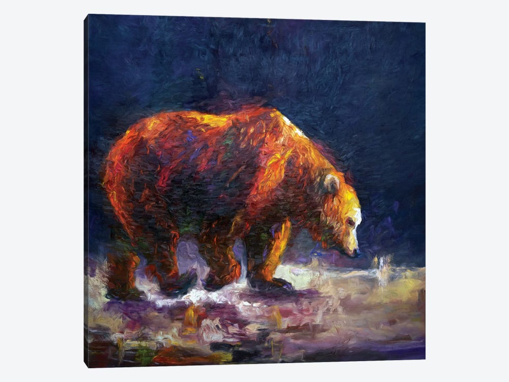 Bauerman Bear by Roberta Murray 1-piece Canvas Print