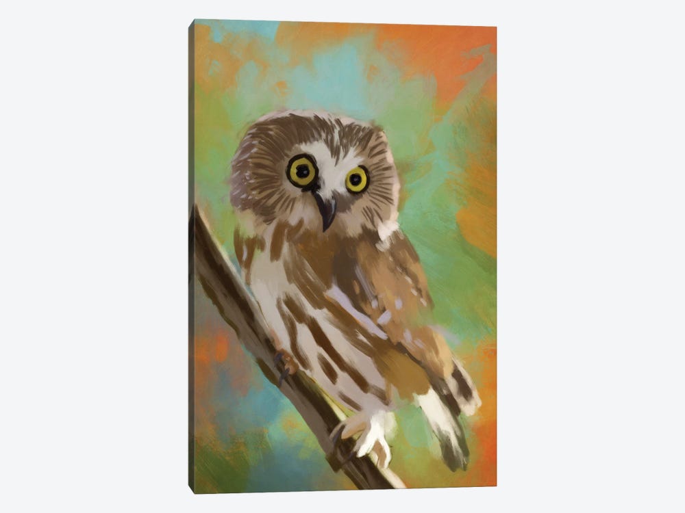 Northern Saw Whet by Roberta Murray 1-piece Canvas Artwork