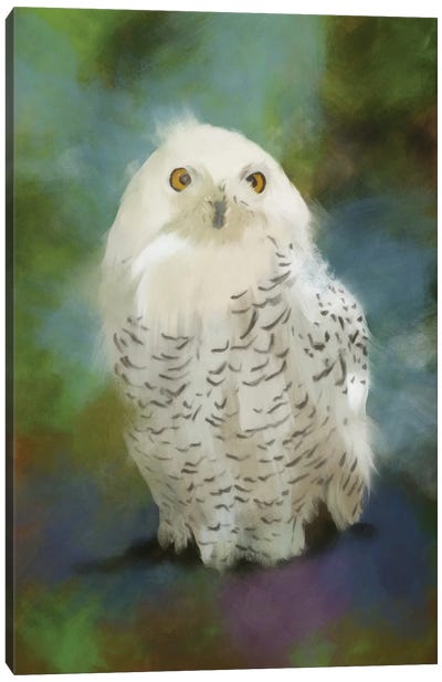 Snowy Owl Canvas Art Print - Roberta Murray