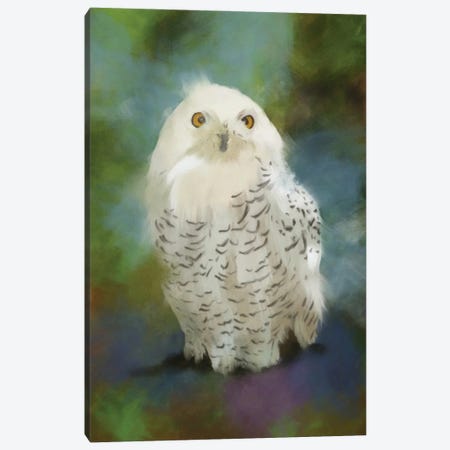 Snowy Owl Canvas Print #RMU318} by Roberta Murray Art Print