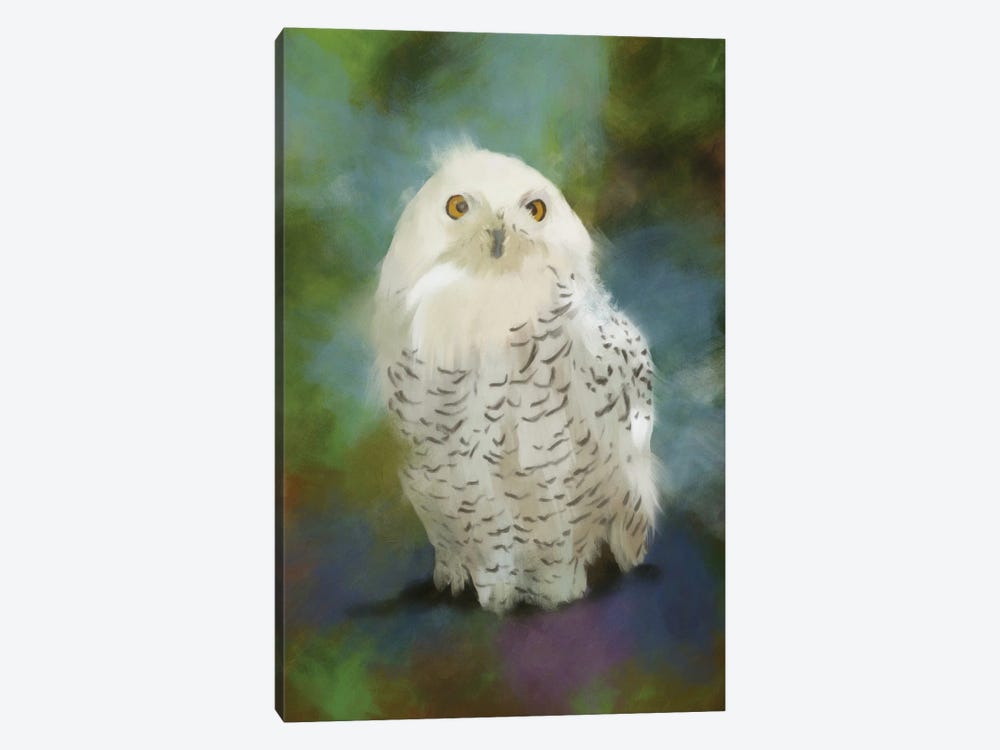 Snowy Owl by Roberta Murray 1-piece Canvas Art Print