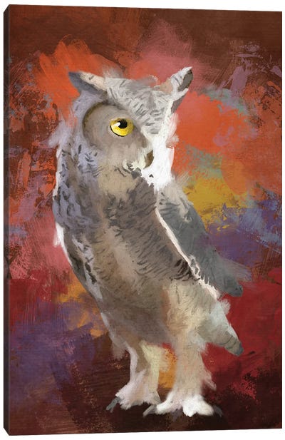 Van Gogh's Owl Canvas Art Print - Roberta Murray