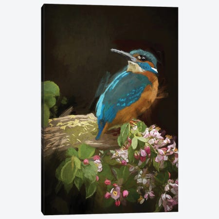 Kingfisher Canvas Print #RMU324} by Roberta Murray Art Print