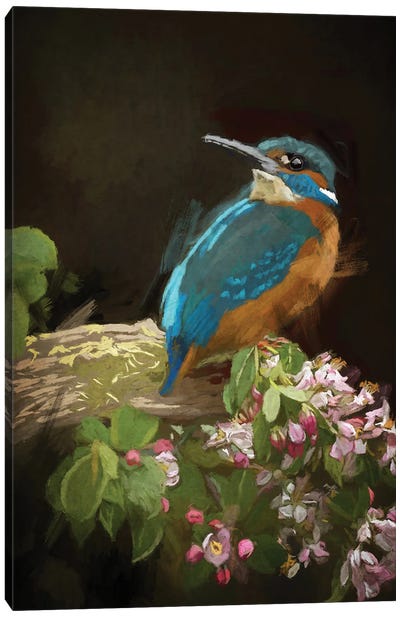 Kingfisher Canvas Art Print - Roberta Murray