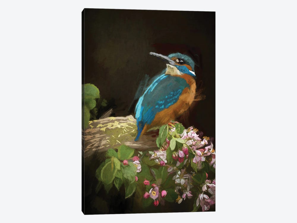 Kingfisher by Roberta Murray 1-piece Canvas Wall Art