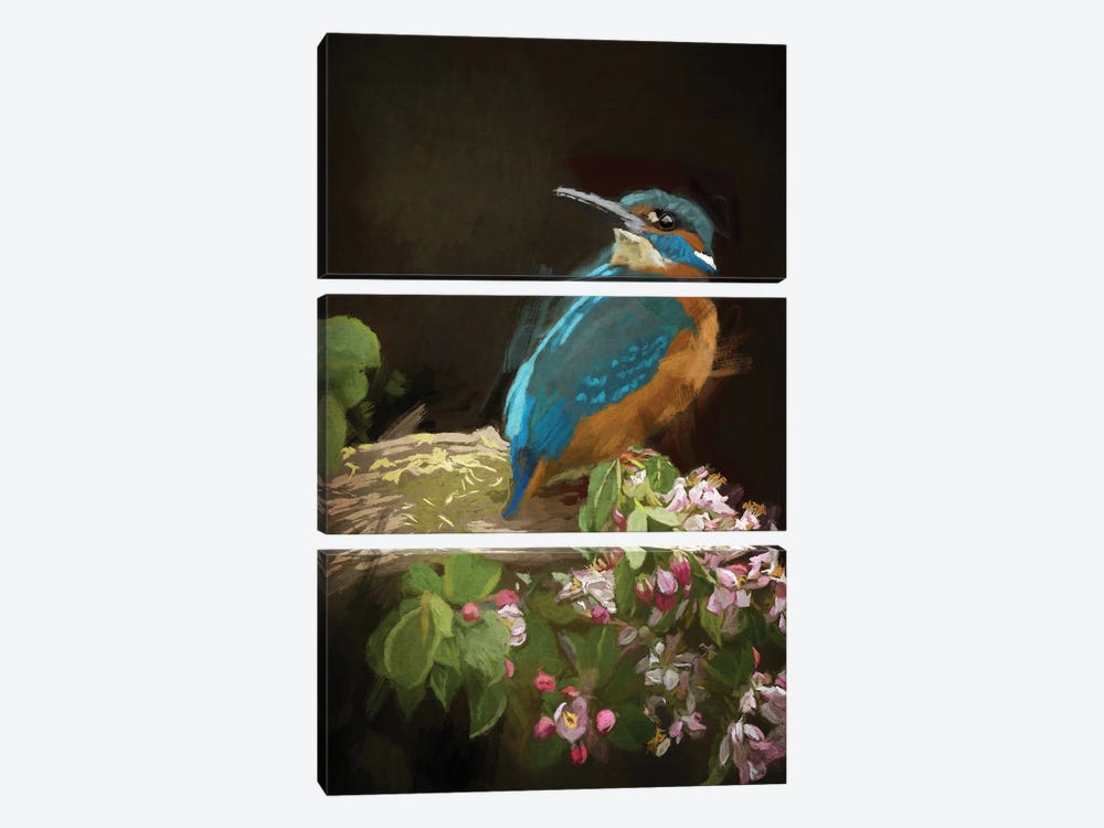 Kingfisher by Roberta Murray 3-piece Canvas Artwork