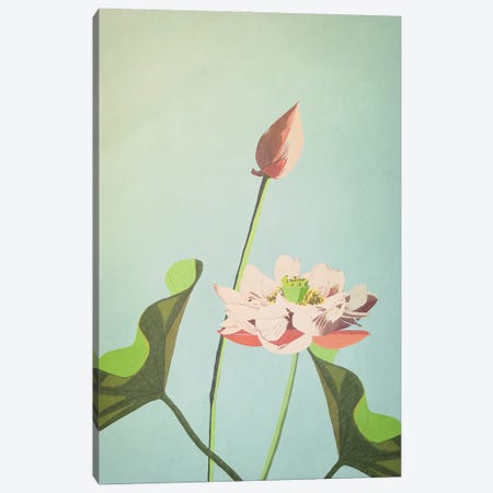 Lotus Flower Canvas Print #RMU327} by Roberta Murray Canvas Print