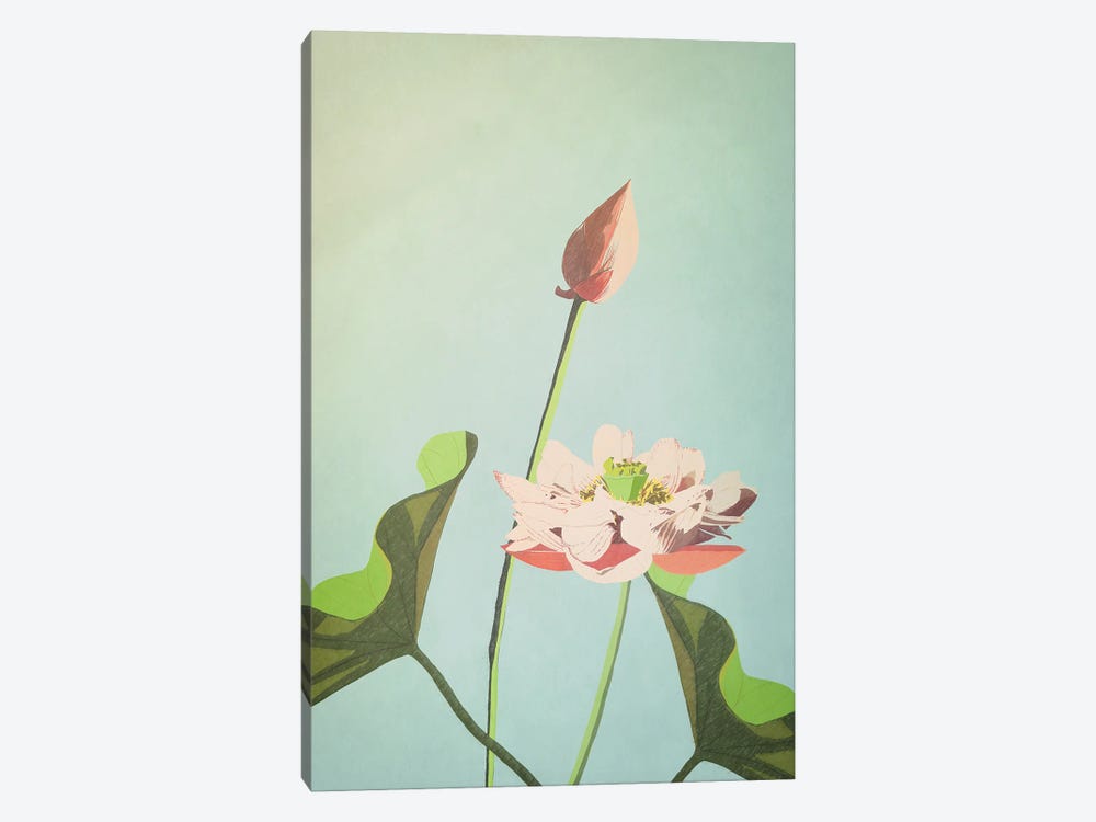 Lotus Flower by Roberta Murray 1-piece Canvas Print