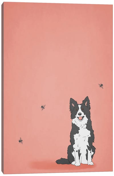 Smelly Dog Canvas Art Print - Australian Shepherd Art