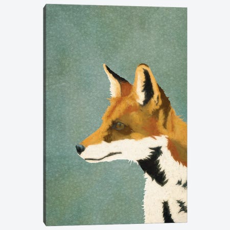 The Fine Fox Canvas Print #RMU336} by Roberta Murray Canvas Art