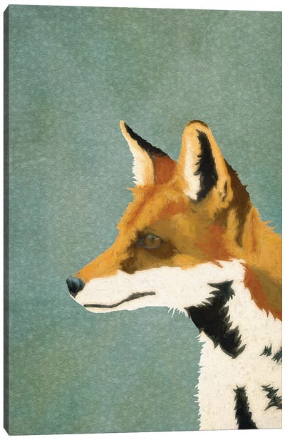 The Fine Fox Canvas Art Print - Roberta Murray