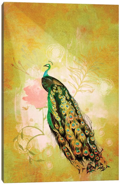Indian Peafowl Canvas Art Print - Roberta Murray