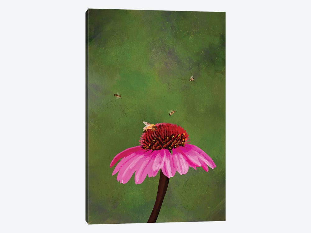 Echinacea by Roberta Murray 1-piece Canvas Print