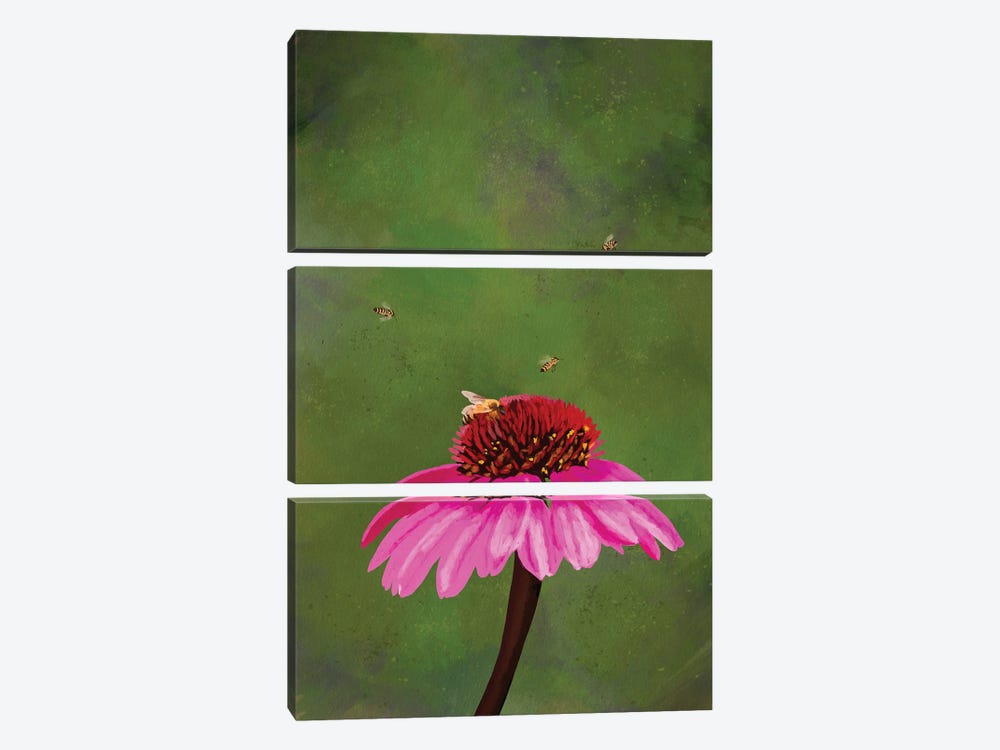 Echinacea by Roberta Murray 3-piece Art Print
