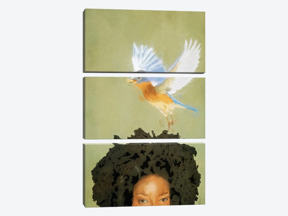 Bird Whisperer by Roberta Murray 3-piece Canvas Art
