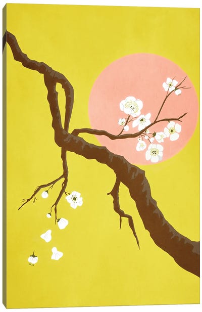 Apple Blossoms Canvas Art Print