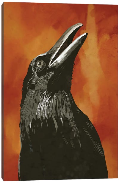 Fire Bird Canvas Art Print - Roberta Murray