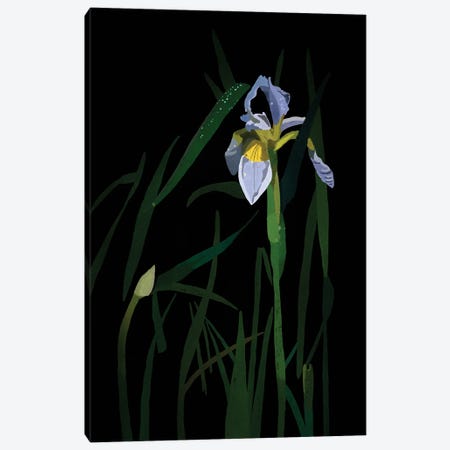 Iris Canvas Print #RMU384} by Roberta Murray Canvas Print