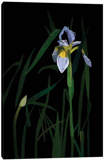 Iris Canvas Art Print - Roberta Murray