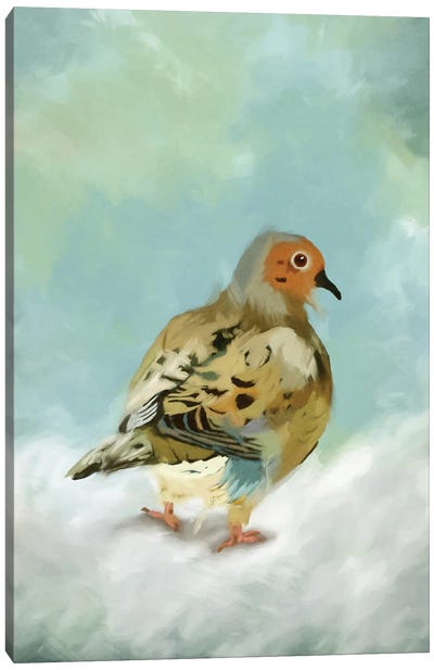 Mourning Dove Canvas Art Print - Dove & Pigeon Art