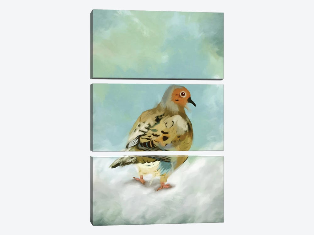 Mourning Dove by Roberta Murray 3-piece Canvas Art