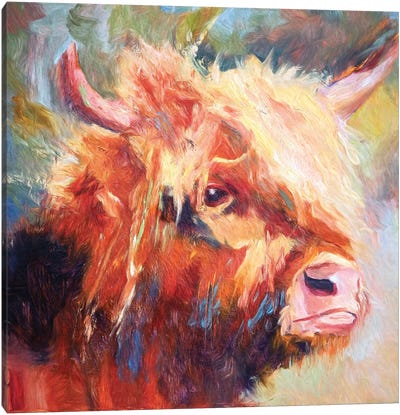 The Comb Over Canvas Art Print - Highland Cow Art