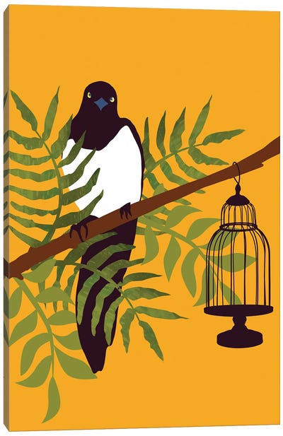 Tropical Magpie Canvas Art Print - Roberta Murray