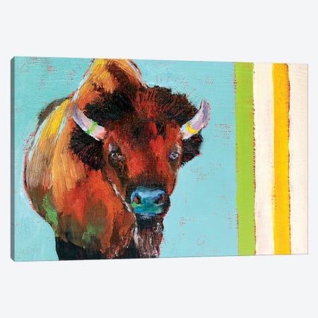 Canadian Shaggy Cow Canvas Print #RMU40} by Roberta Murray Art Print