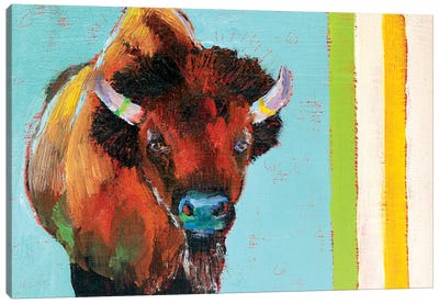 Canadian Shaggy Cow Canvas Art Print - Highland Cow Art