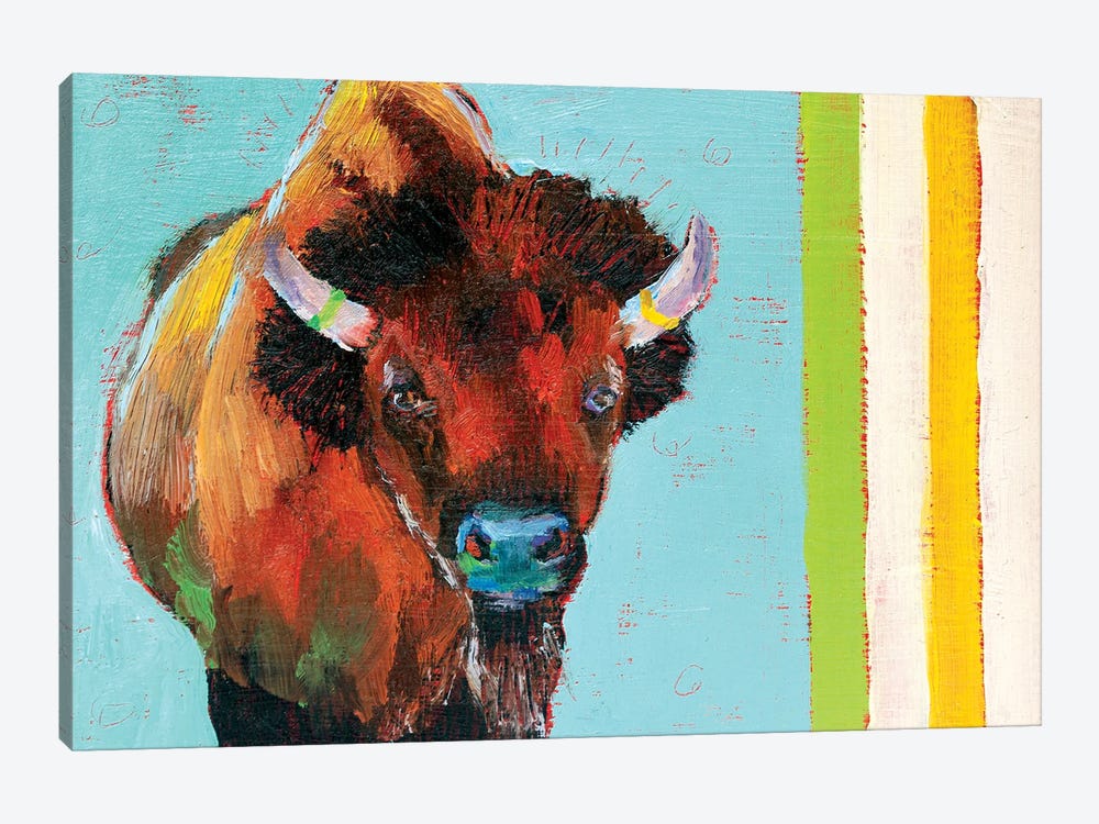 Canadian Shaggy Cow by Roberta Murray 1-piece Canvas Art Print