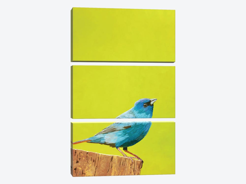 Bluebird by Roberta Murray 3-piece Canvas Print